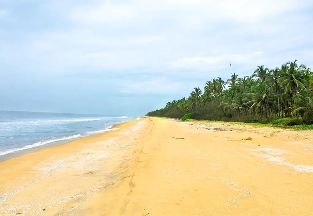 Kavvayi Beach House Apartment Payyannur 0*,  India