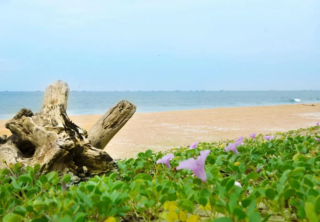 Проживание в семье Апартаменты Kavvayi Beach House Payyannur